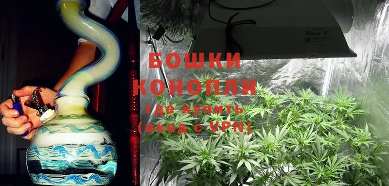 где купить   Волчанск  Бошки Шишки White Widow 